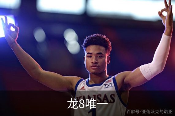 龙8唯一简介